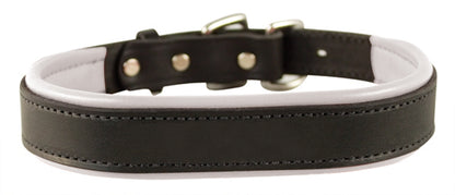 Perri's Padded Leather Dog Collar