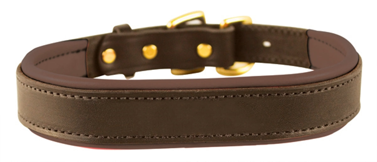 Perri's Padded Leather Dog Collar