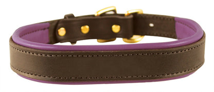 Perri's Padded Leather Dog Collar