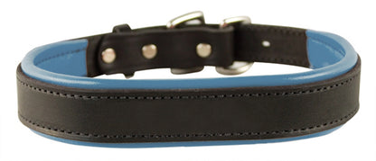 Perri's Padded Leather Dog Collar