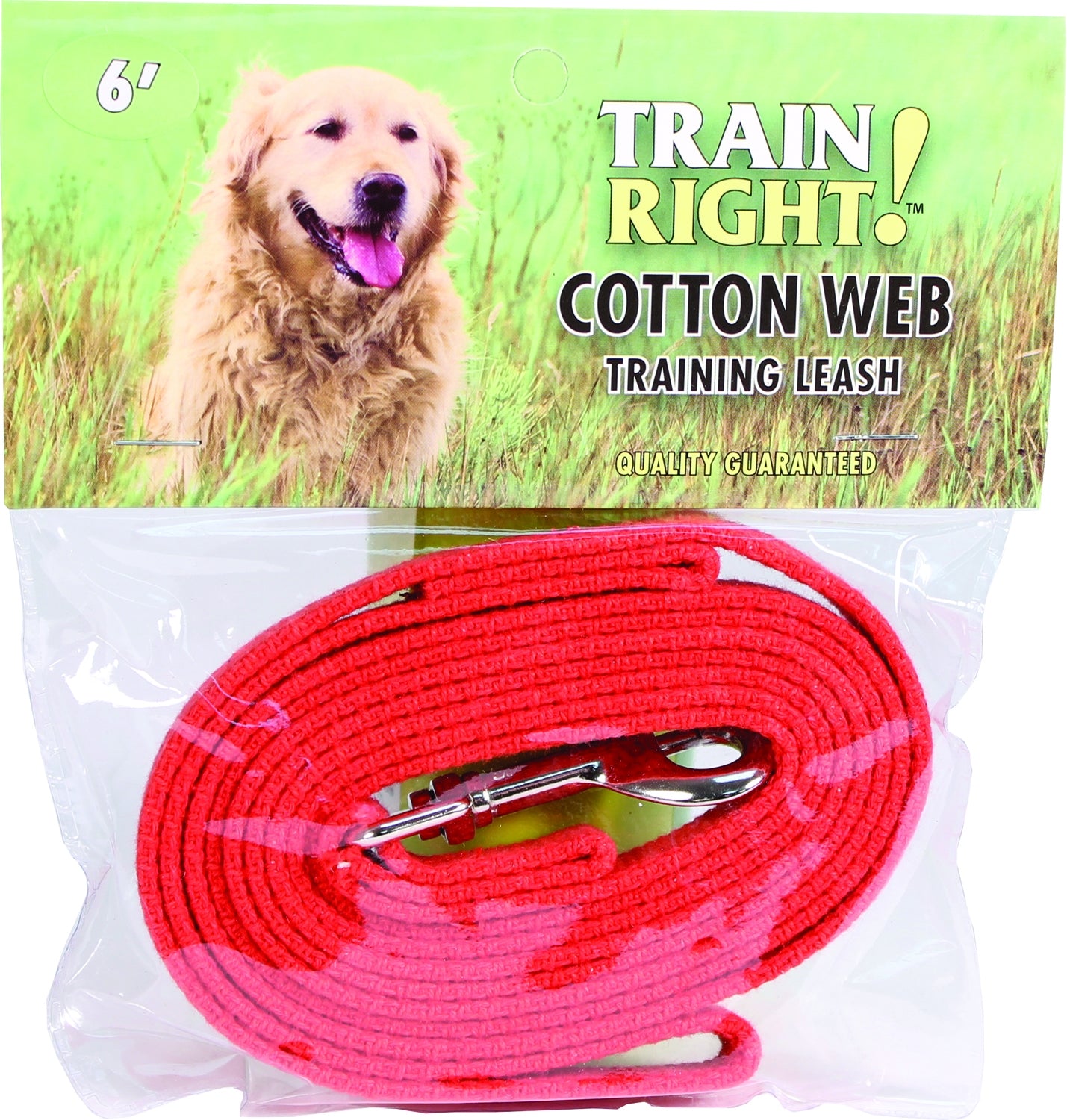 Train Right Cotton Web Training Leash