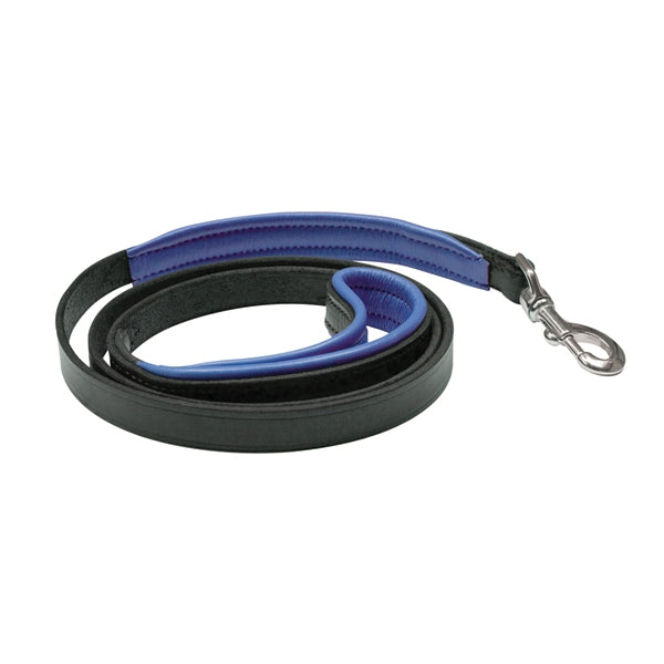 Perri's Padded Leather Dog Leash