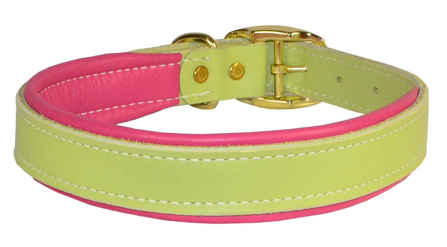 Perri's Padded Leather Dog Collar