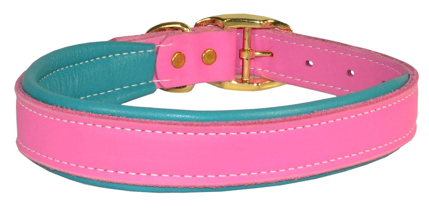 Perri's Padded Leather Dog Collar