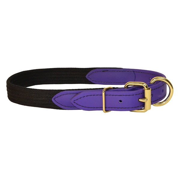 Perri's Beta/Cotton Dog Collar