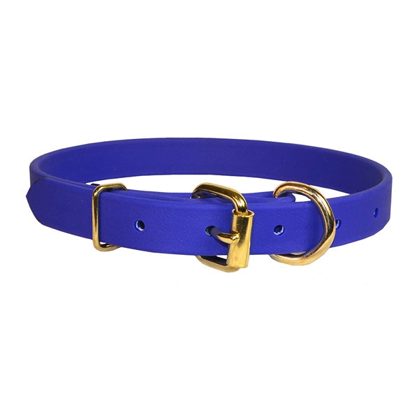 Perri's Beta Dog Collar