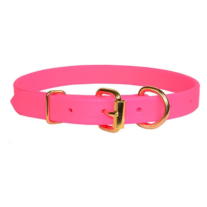 Perri's Beta Dog Collar