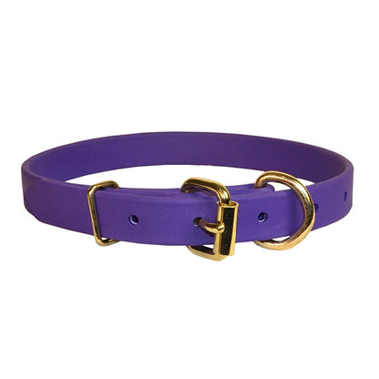 Perri's Beta Dog Collar