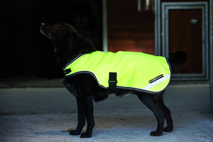 Rambo Reflective Dog Rug