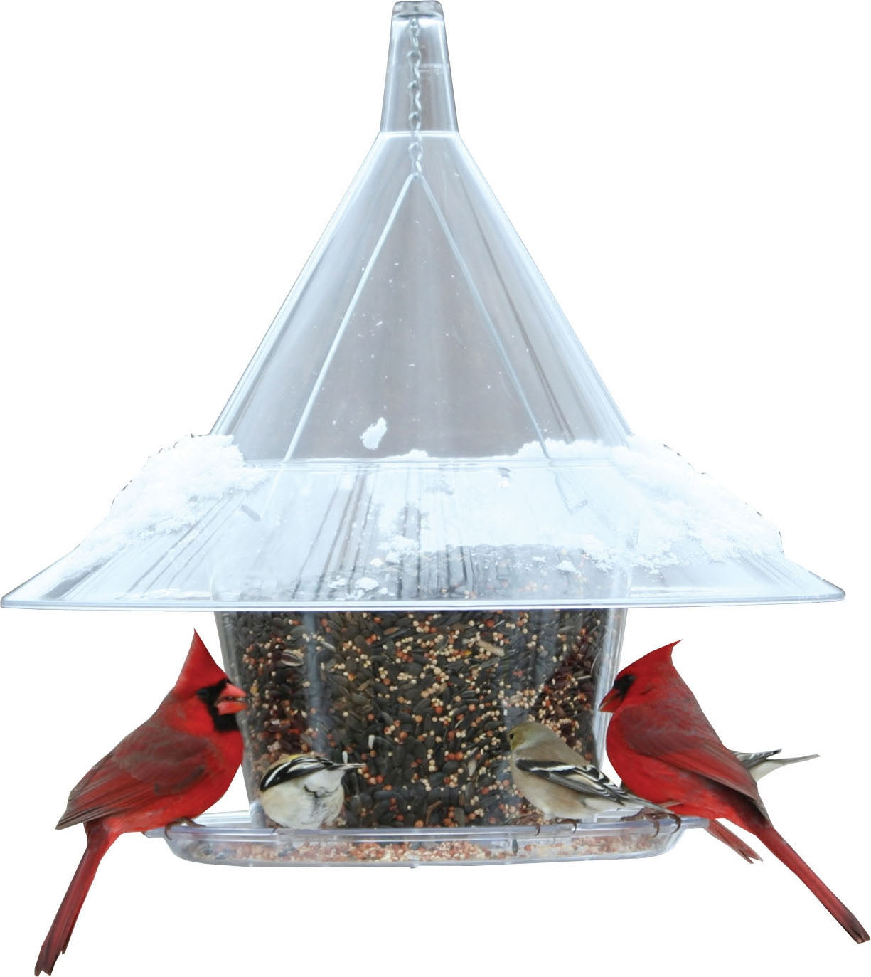 Arundale Products Inc. Mandarin Sky Cafe Bird Feeder