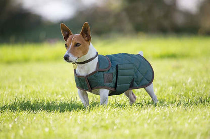 Shires Digby & Fox Quilted Dog Coat