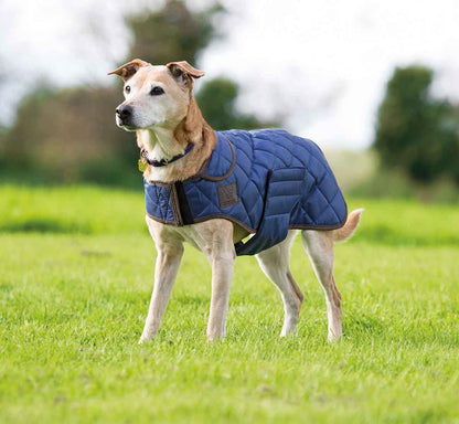 Shires Digby & Fox Quilted Dog Coat