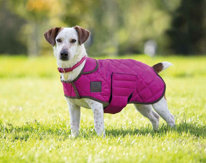 Shires Digby & Fox Quilted Dog Coat