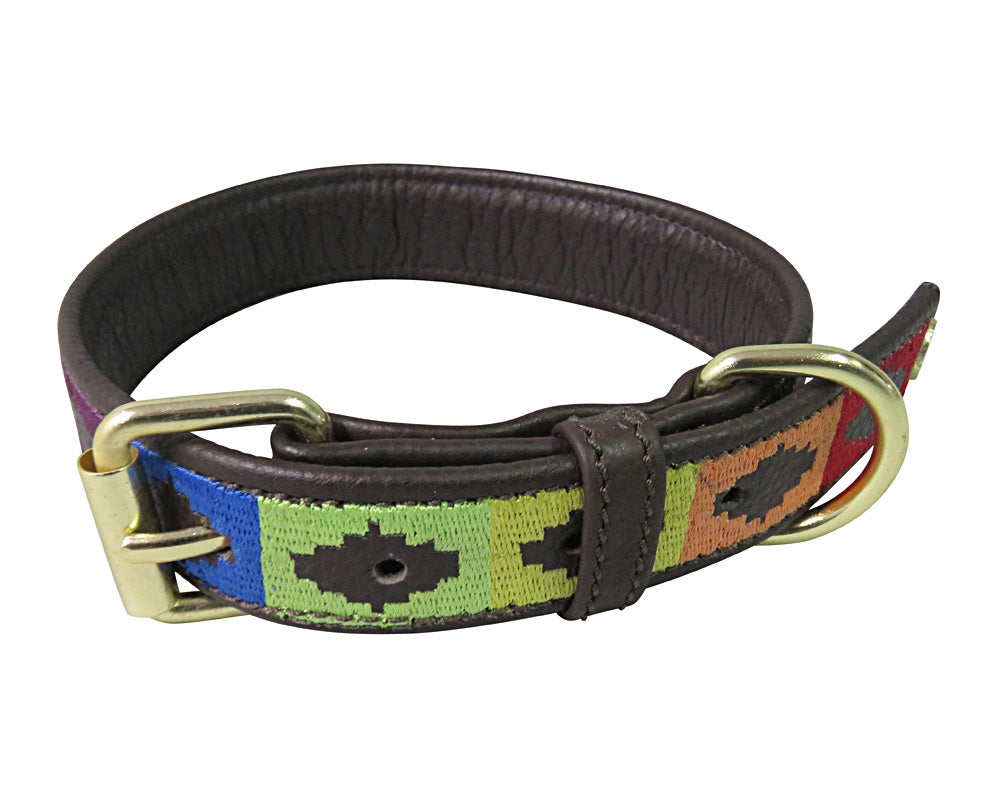 Halo Rainbow Leather Dog Collar