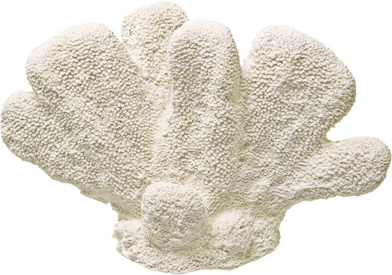 Exotic Environments Cat'S Paw Coral