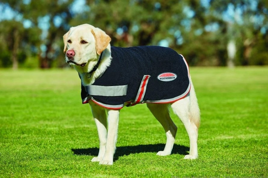 Weatherbeeta Therapy-Tec Dog Coat