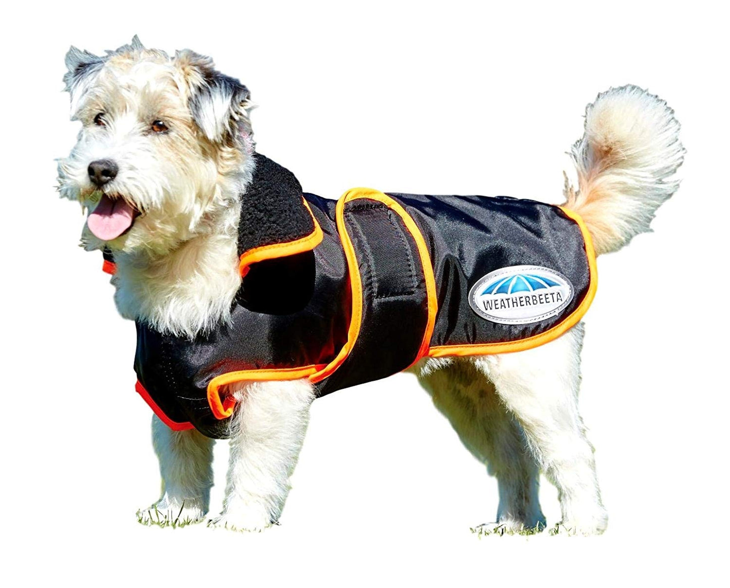 Weatherbeeta Windbreaker 420D Deluxe Dog Coat