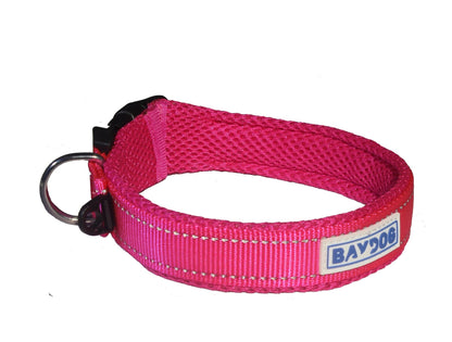 Baydog Tampa Bay Dog Collar