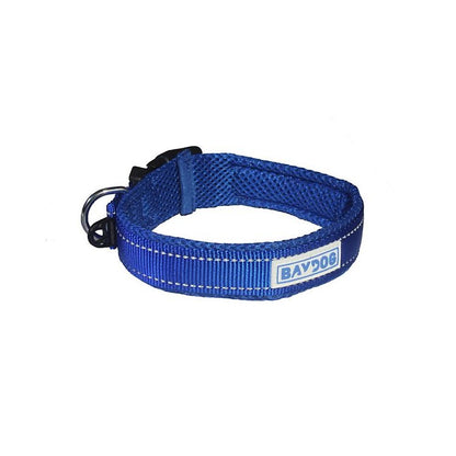 Baydog Tampa Bay Dog Collar