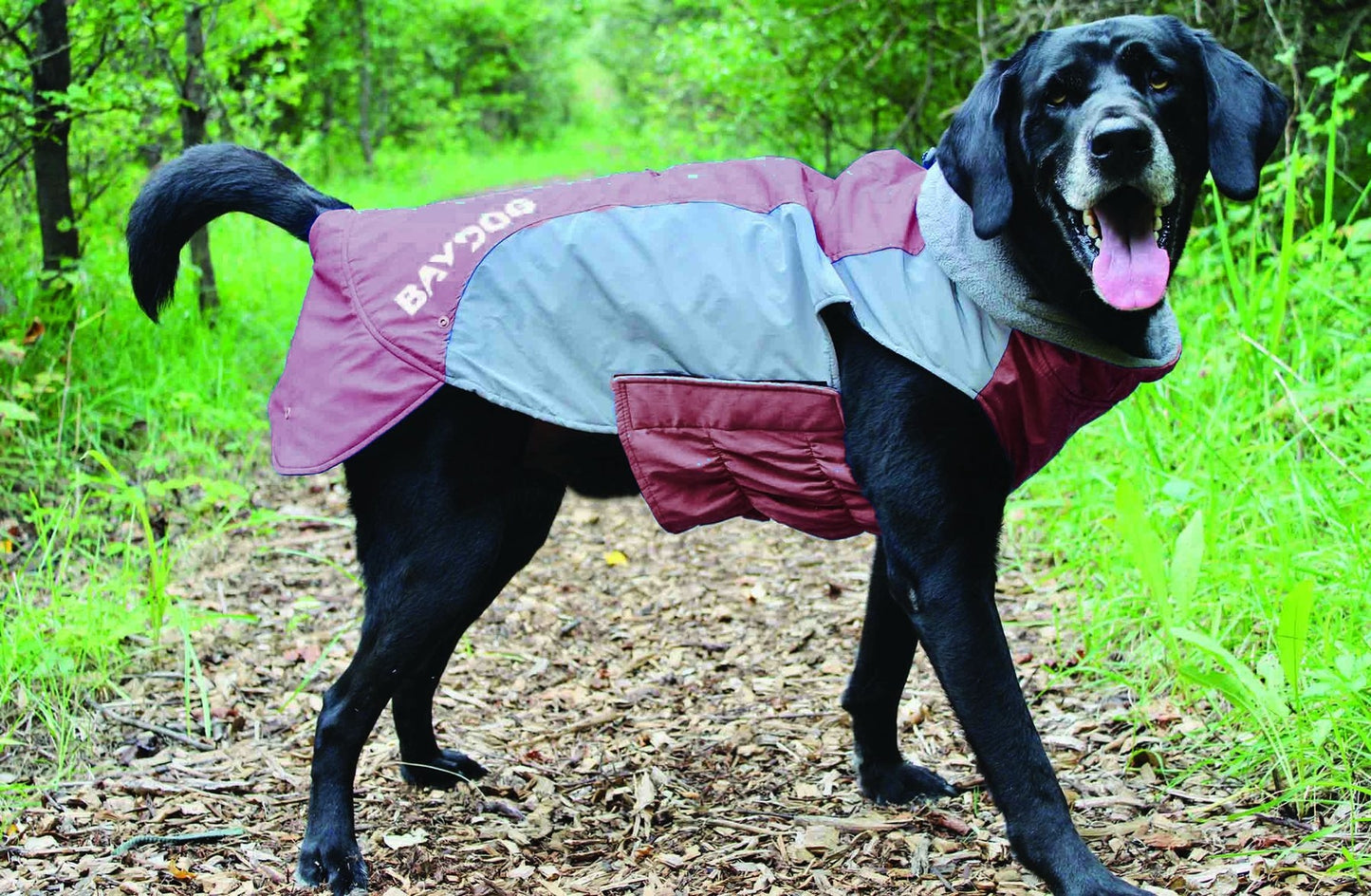 Baydog Glacier Bay Dog Coat