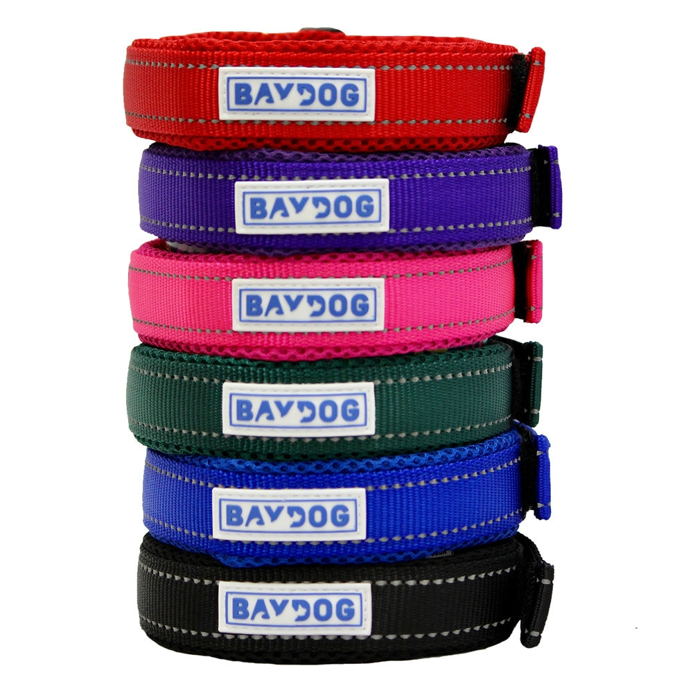 Baydog Tampa Bay Dog Collar