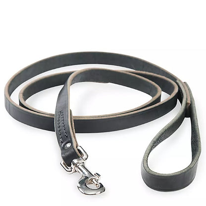 Latigo Dog Lead