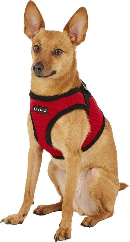 T495145_RED_01.jpg