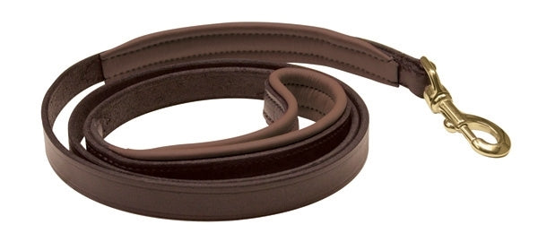 Perri's Padded Leather Dog Leash