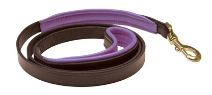 Perri's Padded Leather Dog Leash