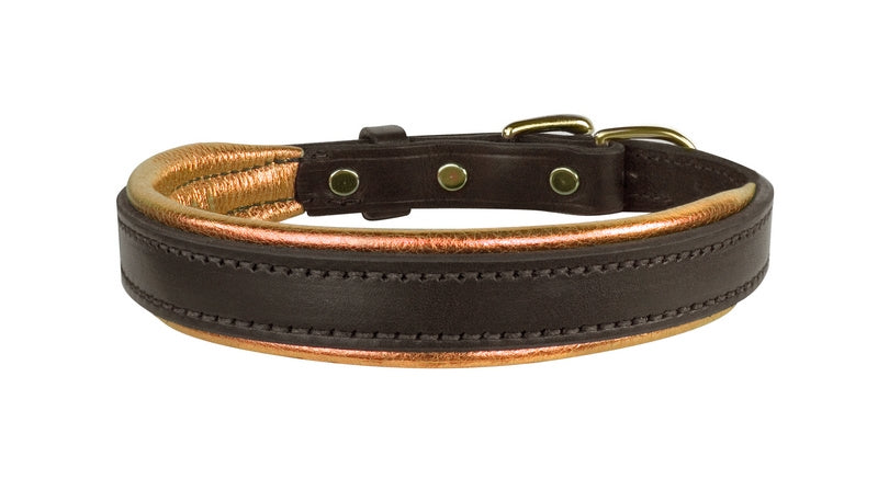 Perri's Padded Leather Dog Collar - Factory Seconds Offer!