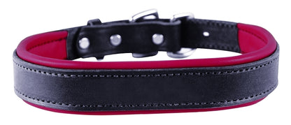 Perri's Padded Leather Dog Collar