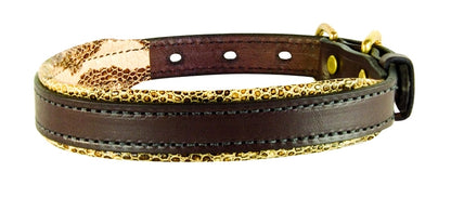 Perri's Padded Leather Dog Collar