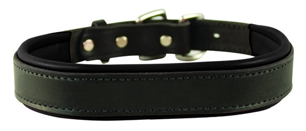 Perri's Padded Leather Dog Collar